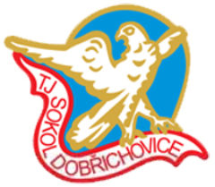Sokol Dobřichovice znak